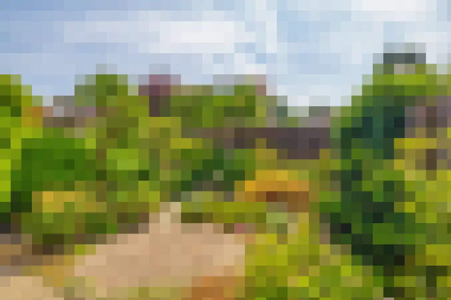 Tarweakker 91 Zoetermeer thumbnail 23