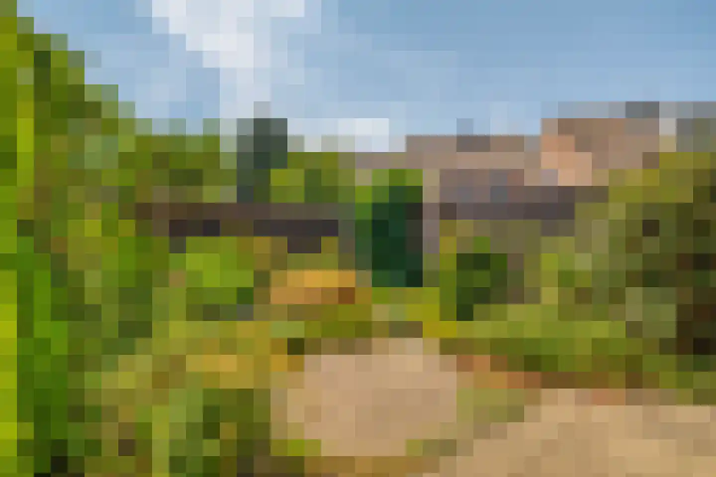 Tarweakker 91 Zoetermeer thumbnail 24