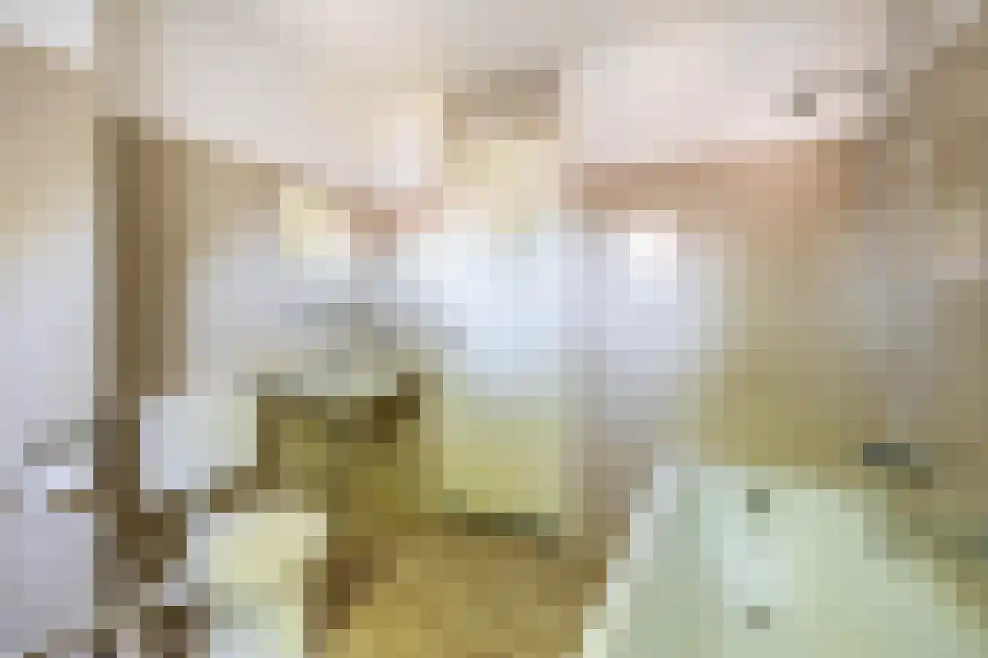 Tarweakker 91 Zoetermeer thumbnail 31