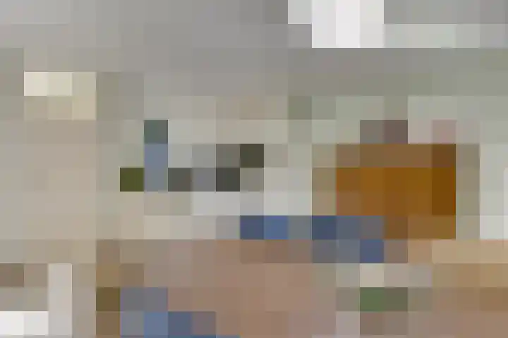 Tarwebeemd 7 Valkenswaard thumbnail 12