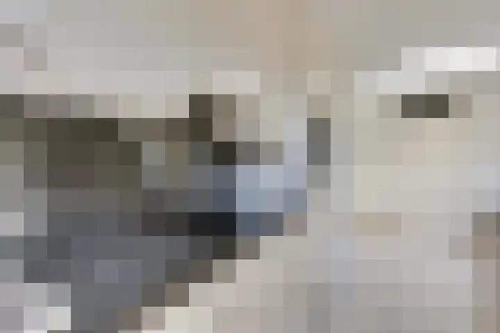 Tarwebeemd 7 Valkenswaard thumbnail 15