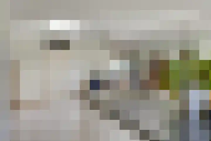 Tarwebeemd 7 Valkenswaard thumbnail 16