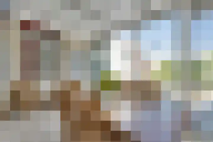 Tarwebeemd 7 Valkenswaard thumbnail 18