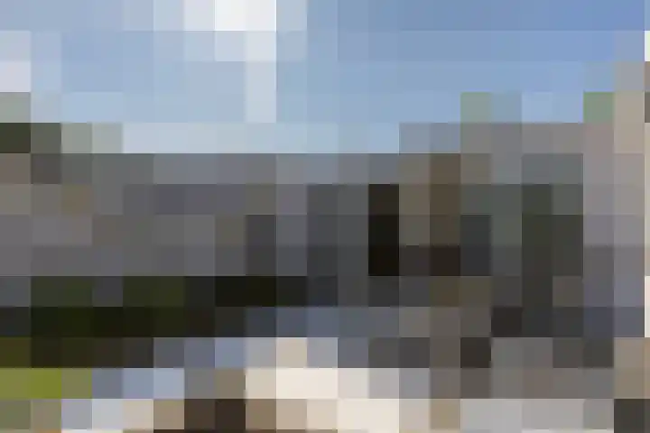 Tarwebeemd 7 Valkenswaard thumbnail 28