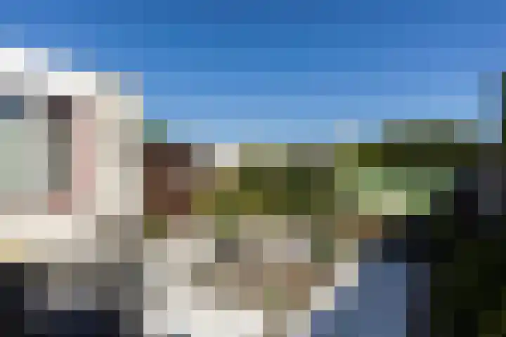 Tarwebeemd 7 Valkenswaard thumbnail 29