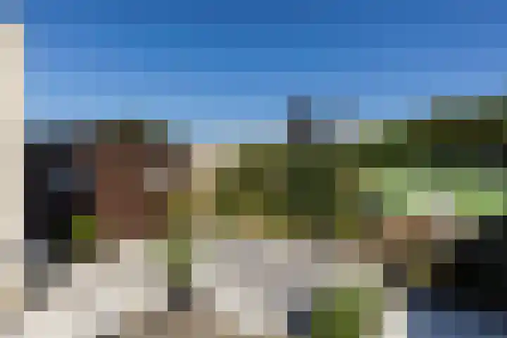 Tarwebeemd 7 Valkenswaard thumbnail 30
