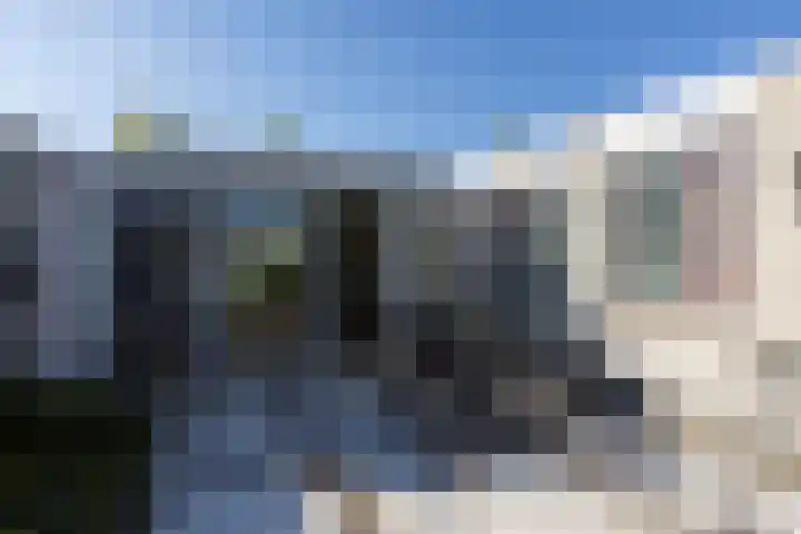 Tarwebeemd 7 Valkenswaard thumbnail 31