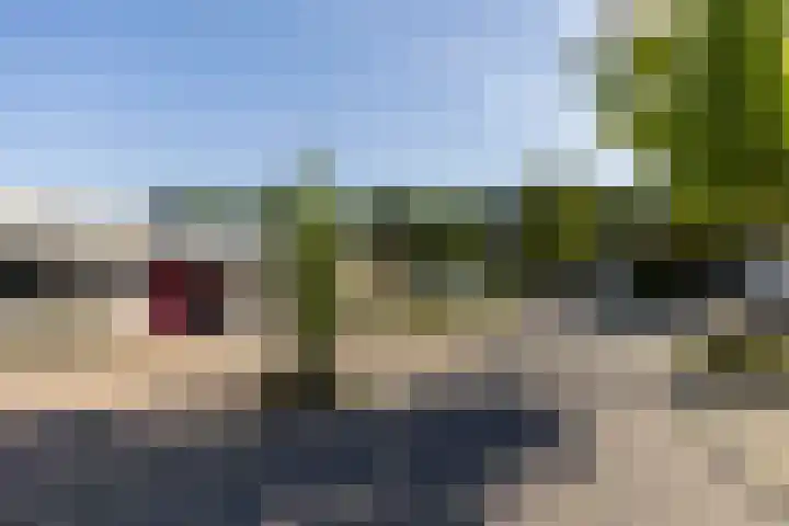 Tarwebeemd 7 Valkenswaard thumbnail 32