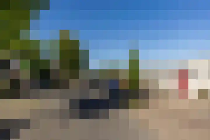 Tarwebeemd 7 Valkenswaard thumbnail 33