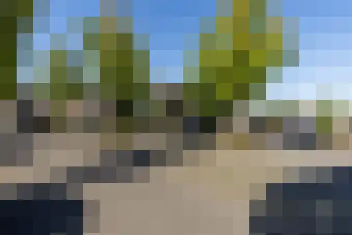 Tarwebeemd 7 Valkenswaard thumbnail 34