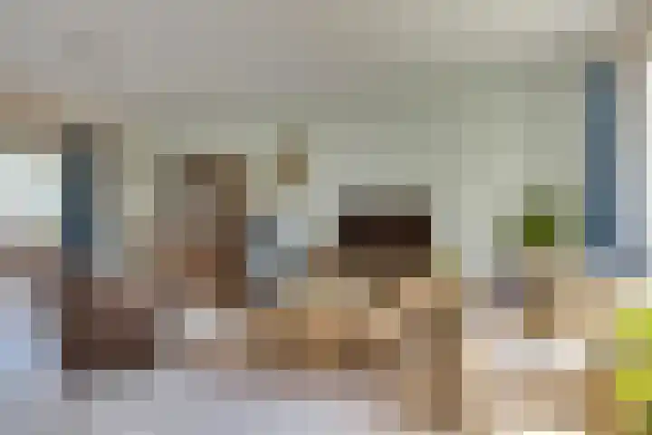 Tarwebeemd 7 Valkenswaard thumbnail 8