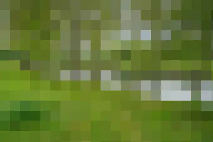 Tarwedreef 101 Doetinchem thumbnail 36