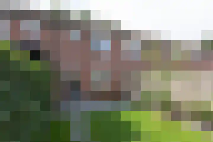 Tarwedreef 115 Doetinchem thumbnail 20