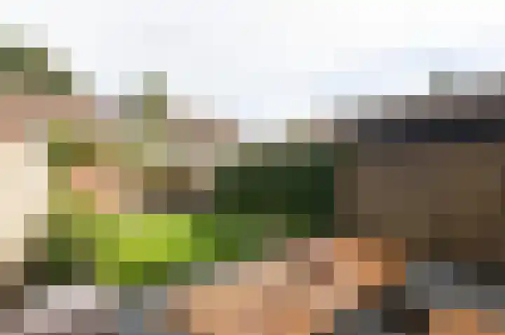Tarwedreef 115 Doetinchem thumbnail 21