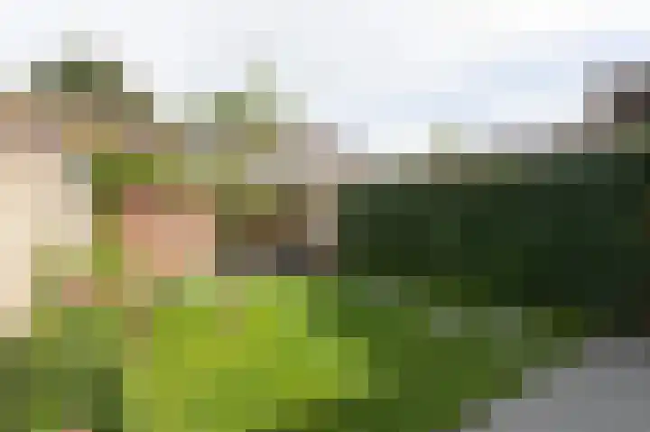 Tarwedreef 115 Doetinchem thumbnail 22