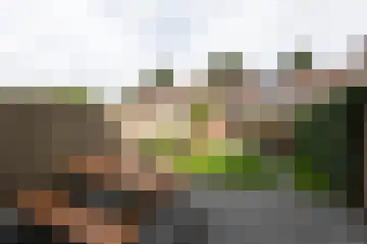 Tarwedreef 115 Doetinchem thumbnail 23