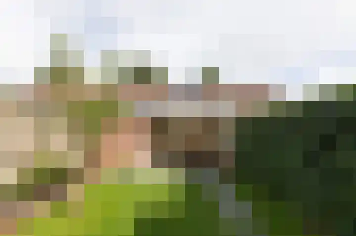 Tarwedreef 115 Doetinchem thumbnail 24