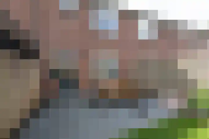 Tarwedreef 115 Doetinchem thumbnail 28