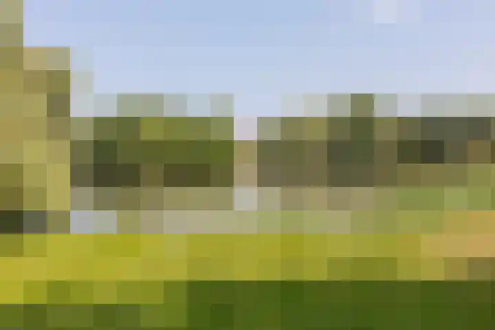 Tarwedreef 115 Doetinchem thumbnail 65