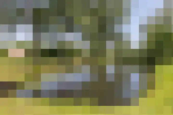 Tarwedreef 115 Doetinchem thumbnail 66