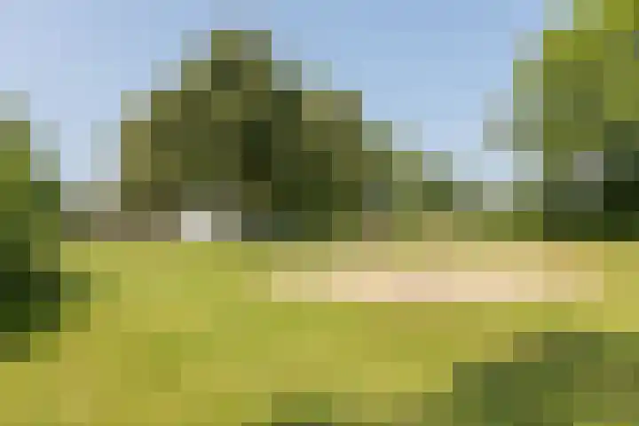 Tarwedreef 115 Doetinchem thumbnail 67