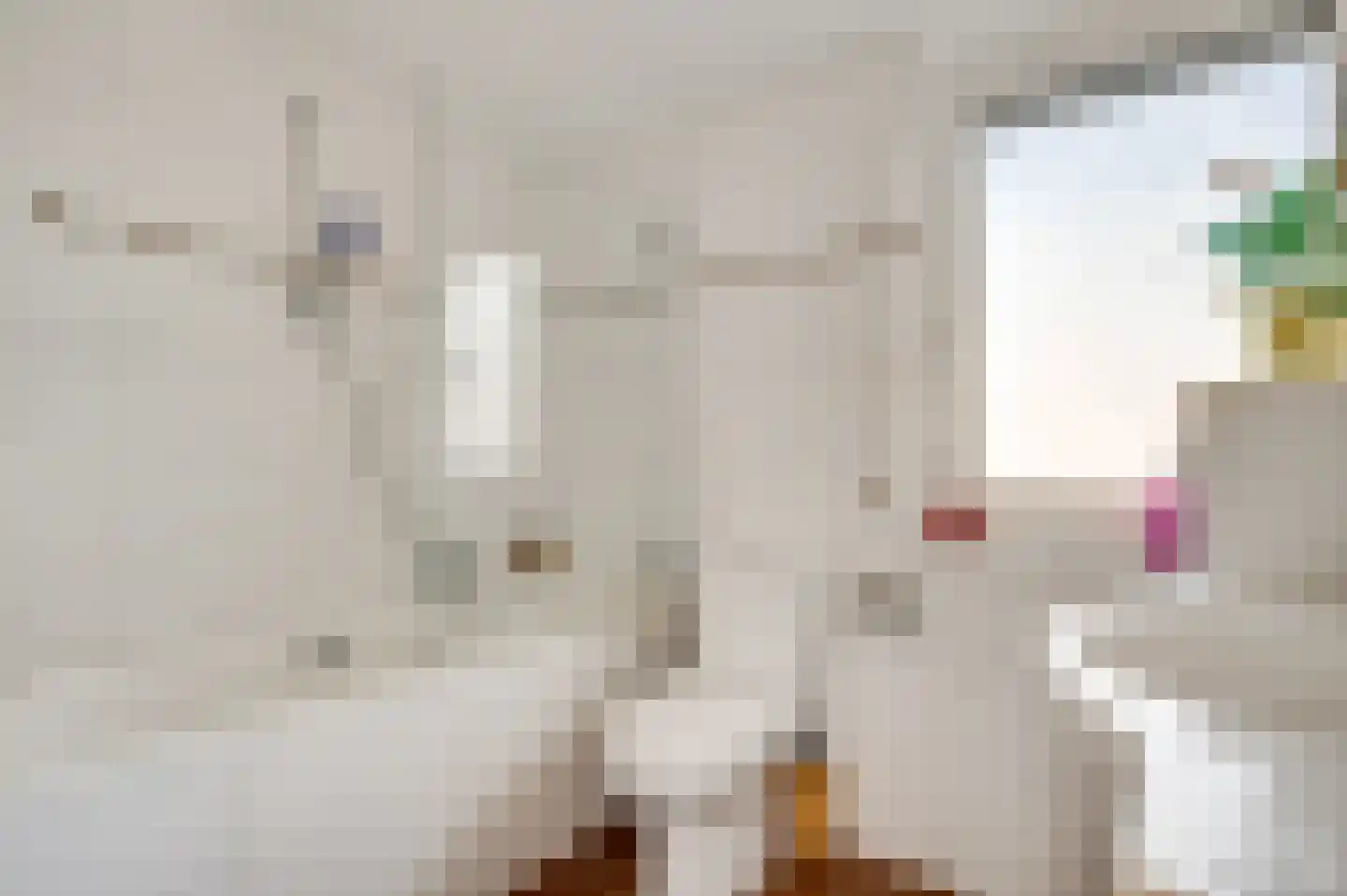 Tarwehegge 15 Maastricht thumbnail 17