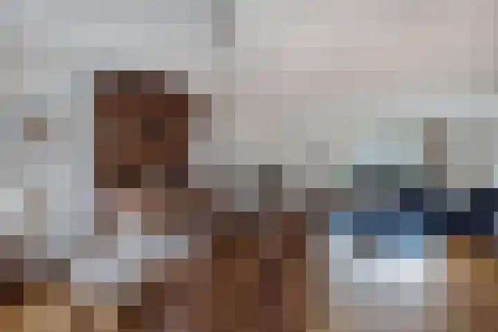 Tarwehof 11 Biddinghuizen thumbnail 11