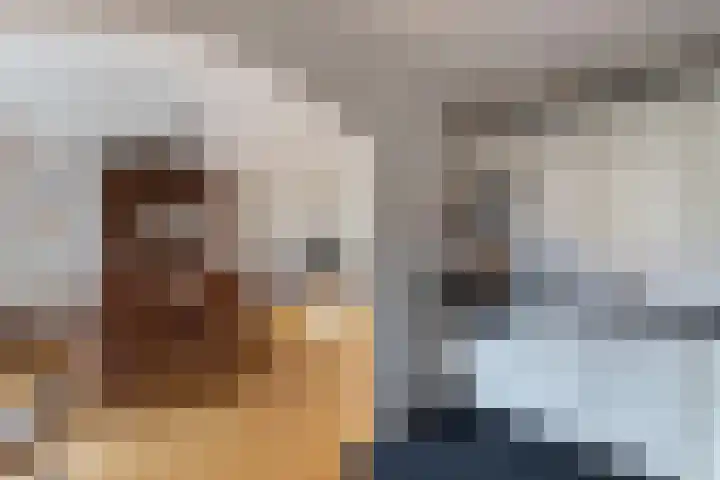 Tarwehof 11 Biddinghuizen thumbnail 12