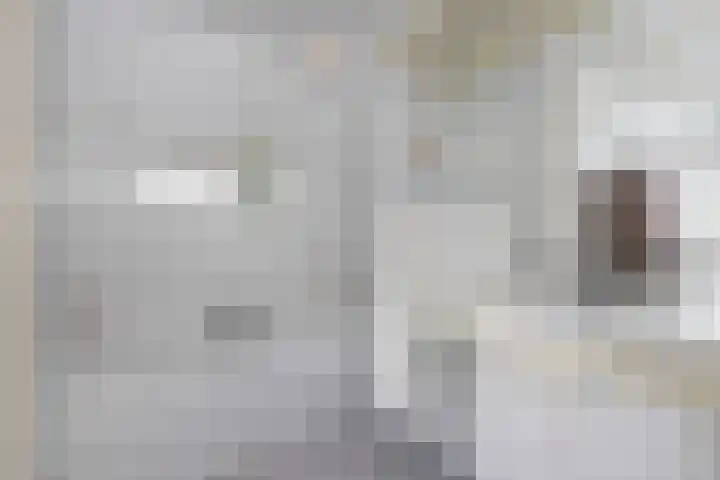 Tarwehof 11 Biddinghuizen thumbnail 17