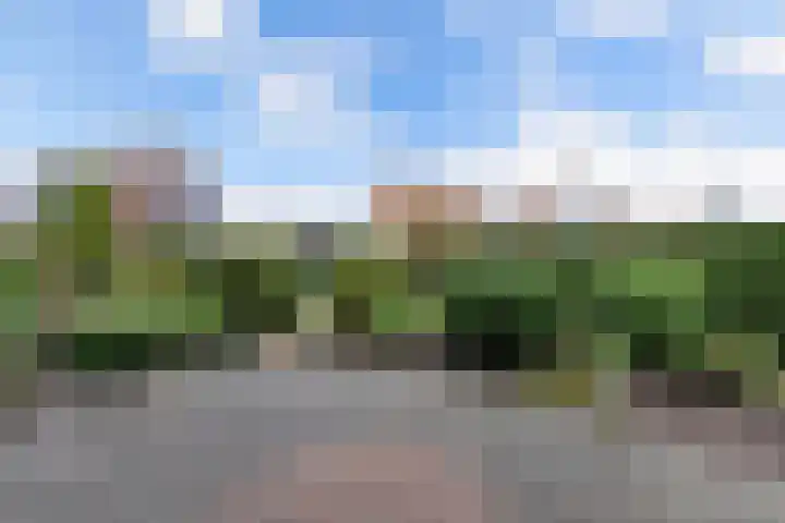 Tarwehof 11 Biddinghuizen thumbnail 20