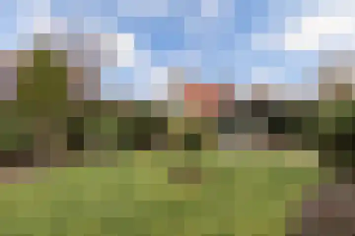 Tarwehof 11 Biddinghuizen thumbnail 22