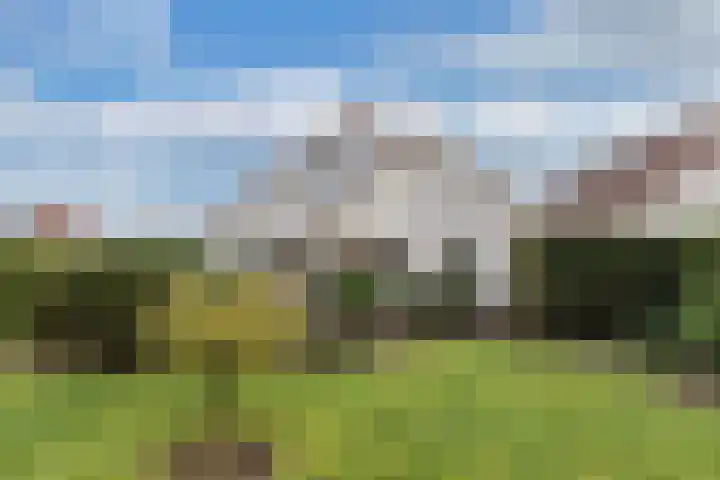 Tarwehof 11 Biddinghuizen thumbnail 24