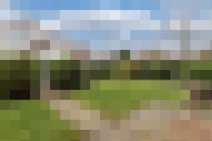Tarwehof 11 Biddinghuizen thumbnail 25