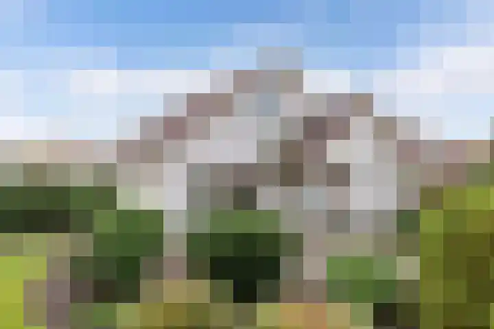 Tarwehof 11 Biddinghuizen thumbnail 26