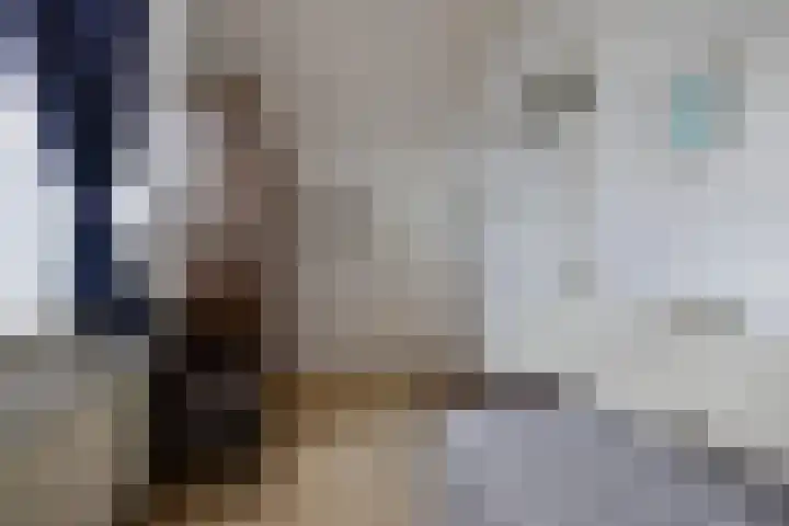 Tarwehof 11 Biddinghuizen thumbnail 31