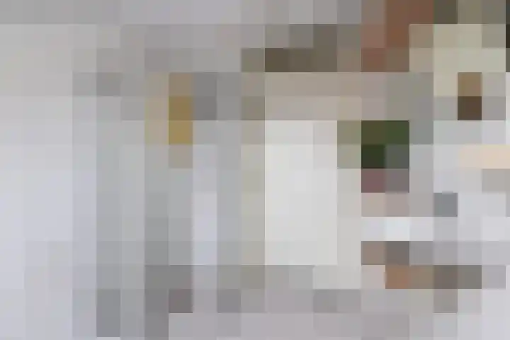 Tarwehof 11 Biddinghuizen thumbnail 33