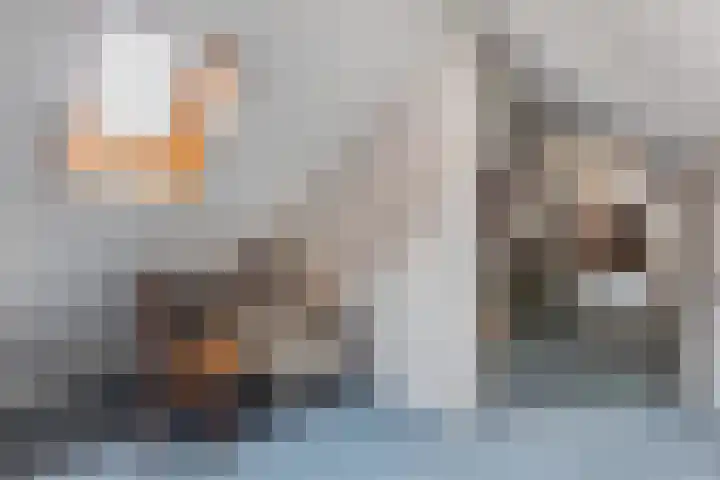 Tarwehof 11 Biddinghuizen thumbnail 34