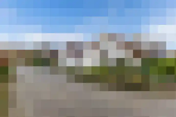 Tarwehof 11 Biddinghuizen thumbnail 38
