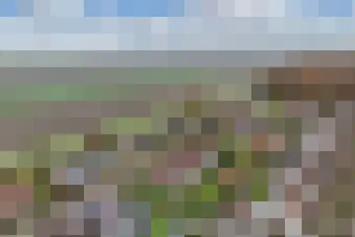 Tarwehof 11 Biddinghuizen thumbnail 40