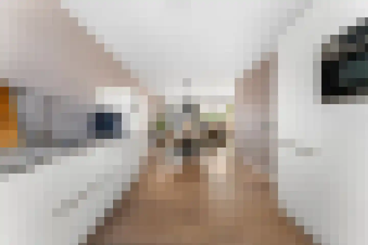 Tarwehof 13 Heerlen thumbnail 14