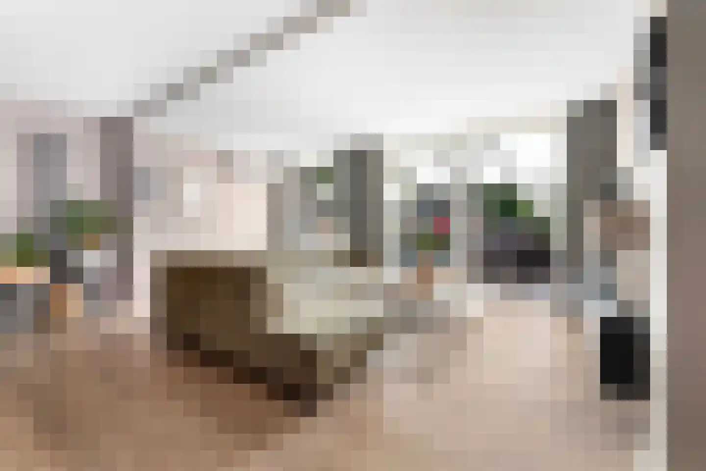 Tarwehof 13 Heerlen thumbnail 4