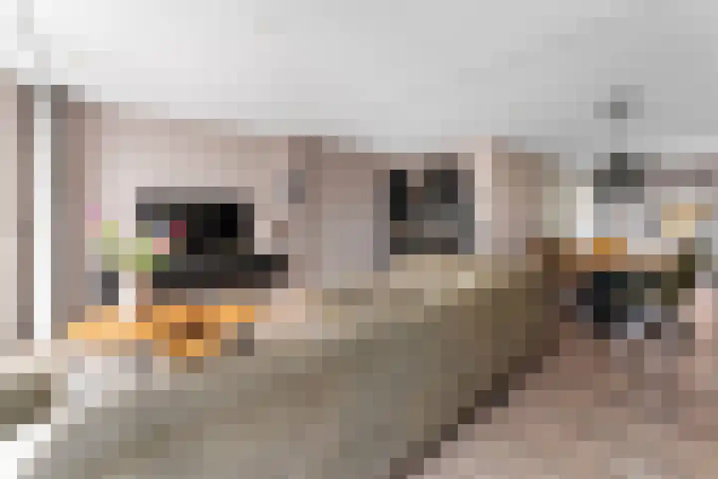 Tarwehof 13 Heerlen thumbnail 6