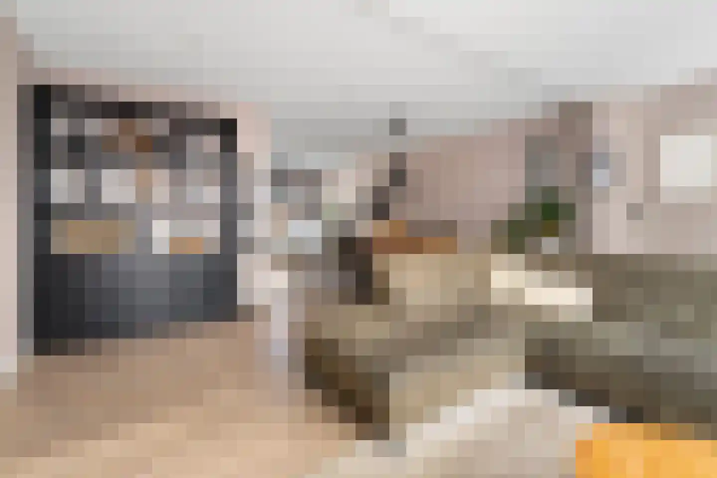 Tarwehof 13 Heerlen thumbnail 8