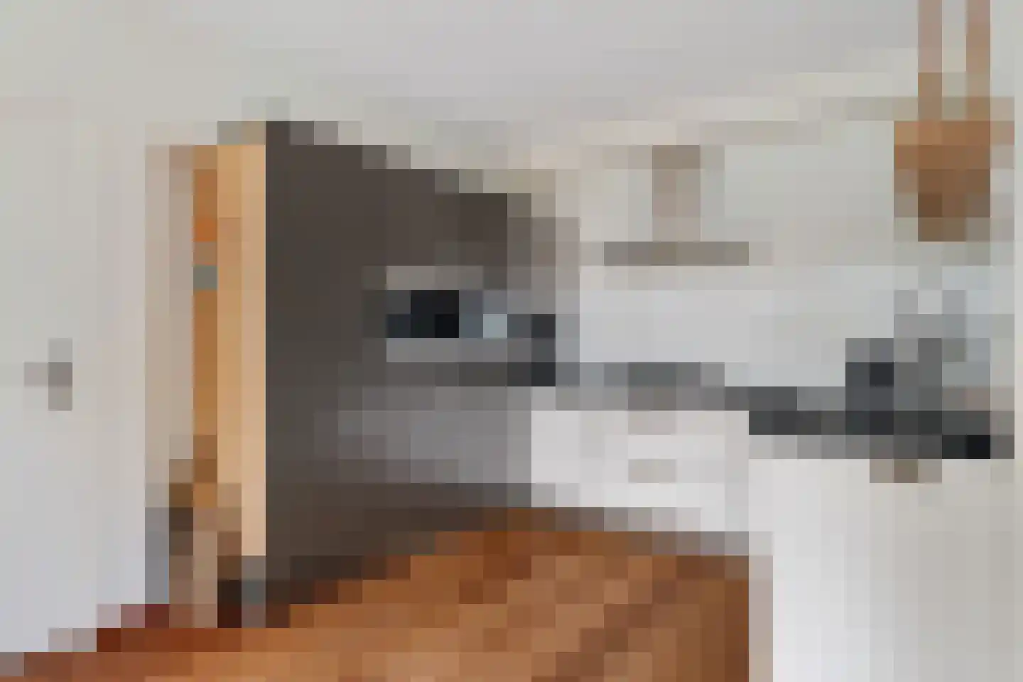 Tarwehof 14 Nagele thumbnail 10