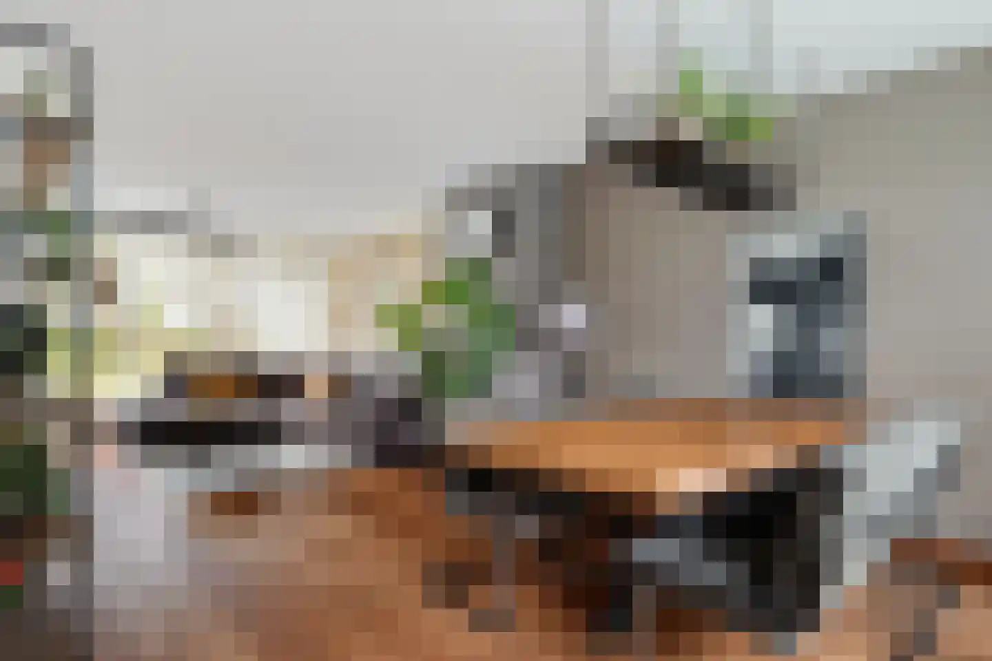 Tarwehof 14 Nagele thumbnail 13