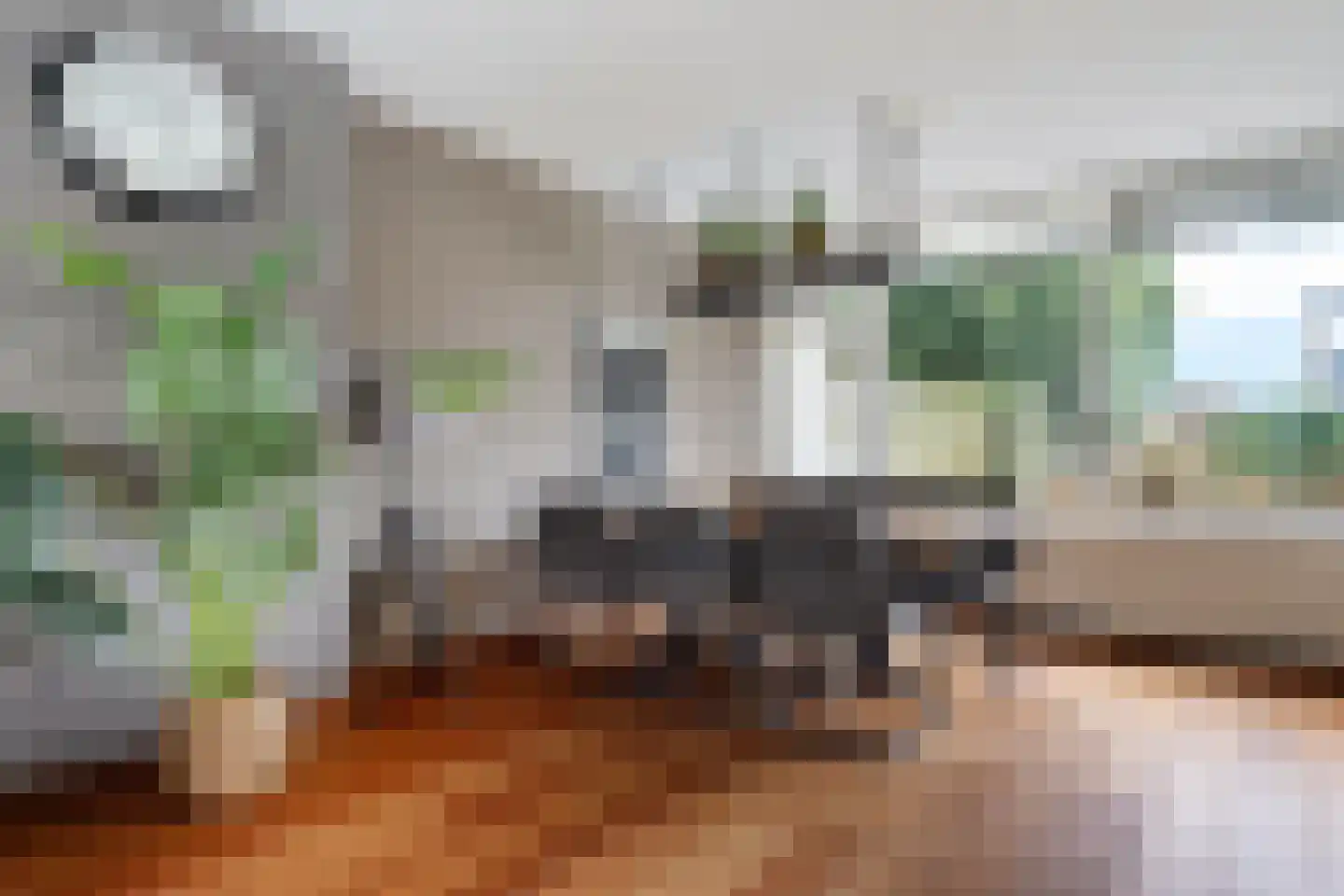 Tarwehof 14 Nagele thumbnail 15