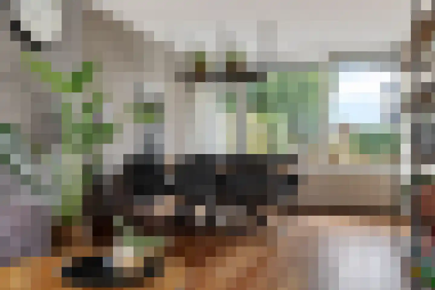 Tarwehof 14 Nagele thumbnail 17