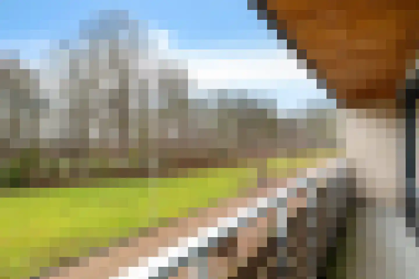 Tarwehof 14 Nagele thumbnail 29