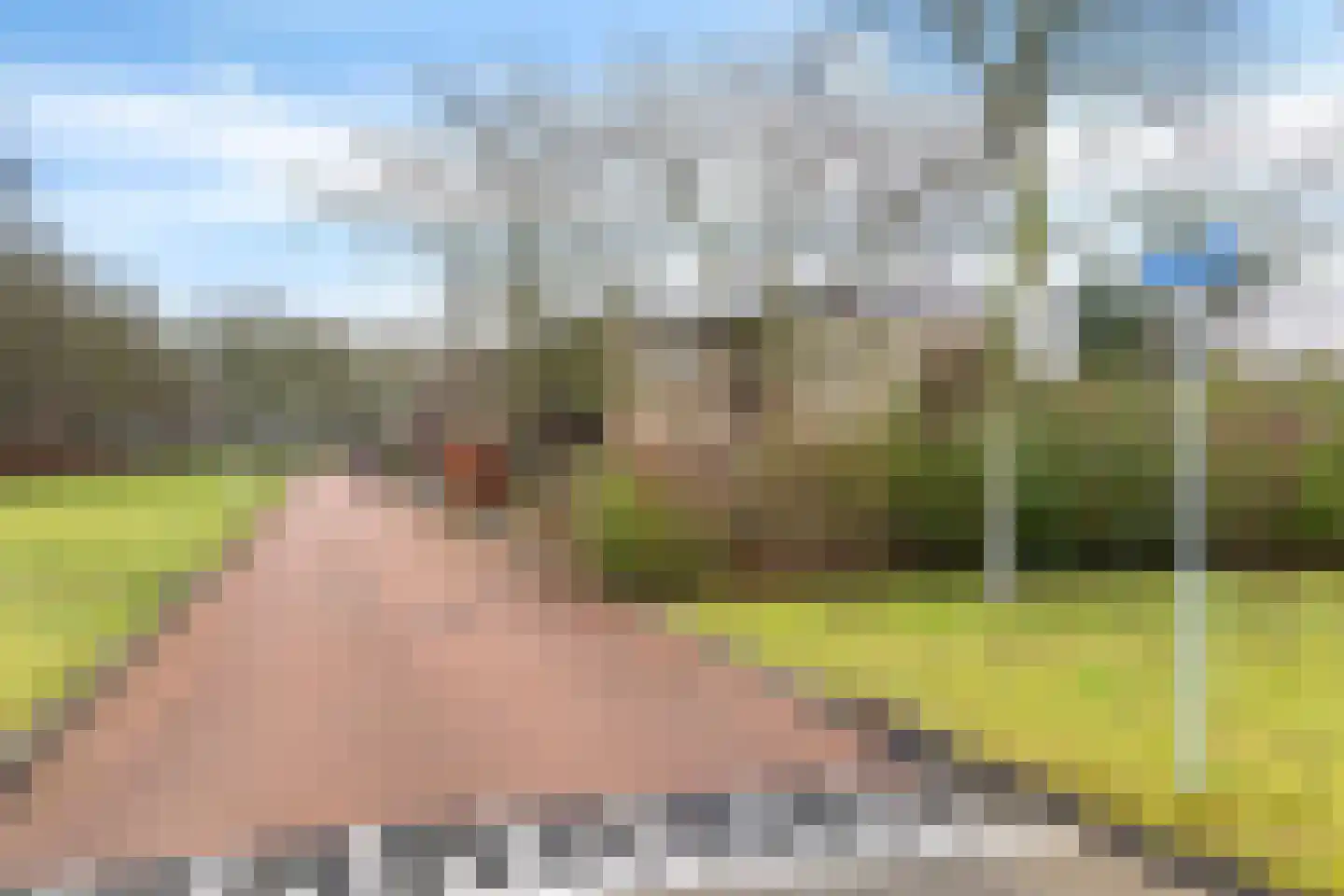 Tarwehof 14 Nagele thumbnail 37