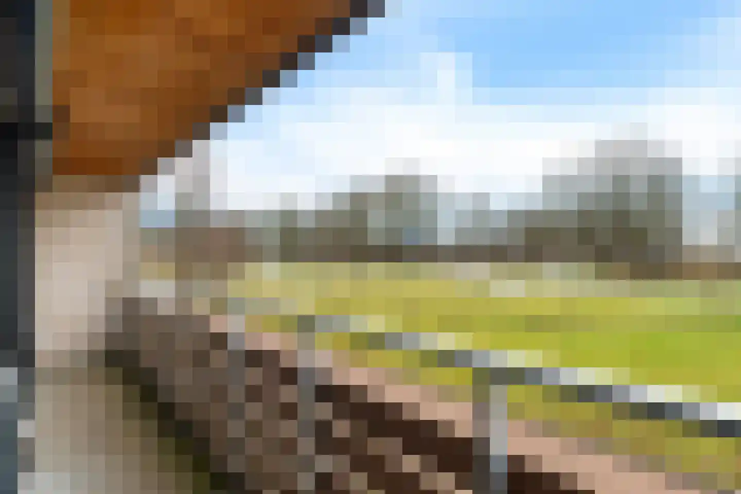 Tarwehof 14 Nagele thumbnail 5